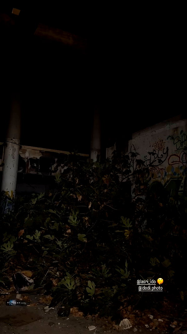 shaharo__._ archive video preview