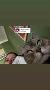 neomiconrad Altpins Profile Picture