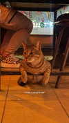 _asaf17 Altpins Profile Picture