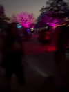 _lironatias Altpins Profile Picture