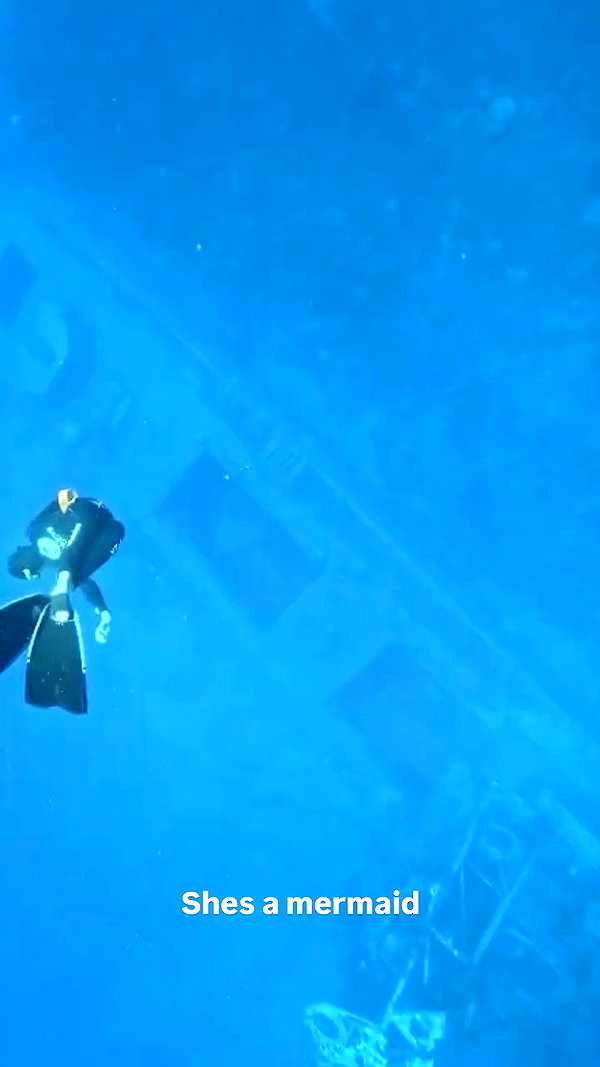 elia.shinar archive video preview