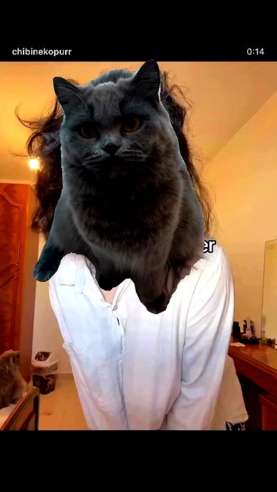 chibinekopurr chibinekopurr archive video