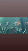 yasminhilde_ Altpins Profile Picture