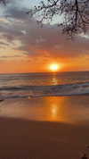 carolinezalog Altpins Profile Picture