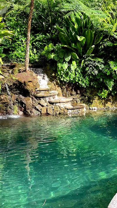 taylor.creeden taylor.creeden archive video