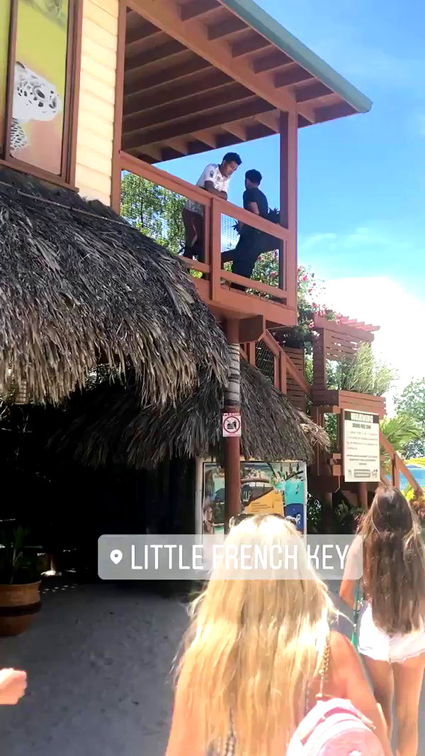 taylorballarddd archive video preview