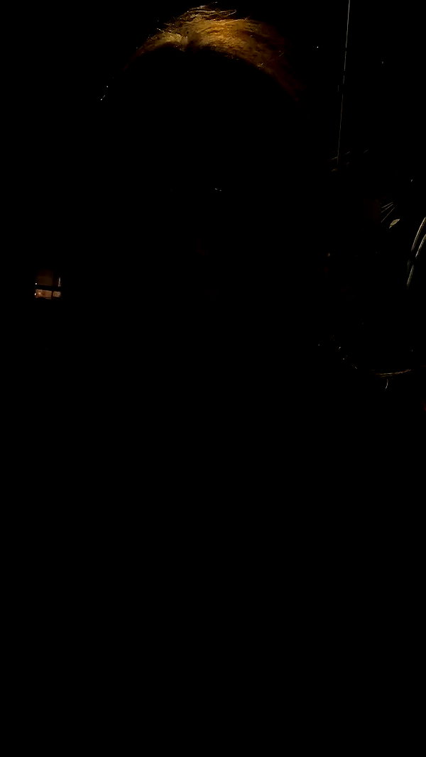 _allvi.pansk archive video preview