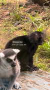 karin_orhov Altpins Profile Picture