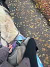 clarissabeaa Altpins Profile Picture
