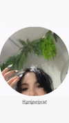 raay.seen Altpins Profile Picture
