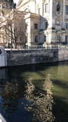 sonia_litvanchuk Altpins Profile Picture