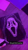 taxevasionkoala Altpins Profile Picture