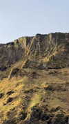 rouxroux.tv Altpins Profile Picture