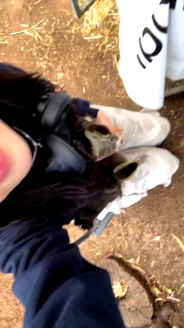 feelbetterinmysweater archive video preview