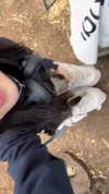 feelbetterinmysweater Altpins Profile Picture