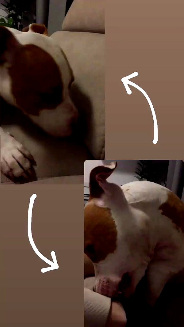 _mashachka_ archive video preview