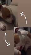 _mashachka_ Altpins Profile Picture