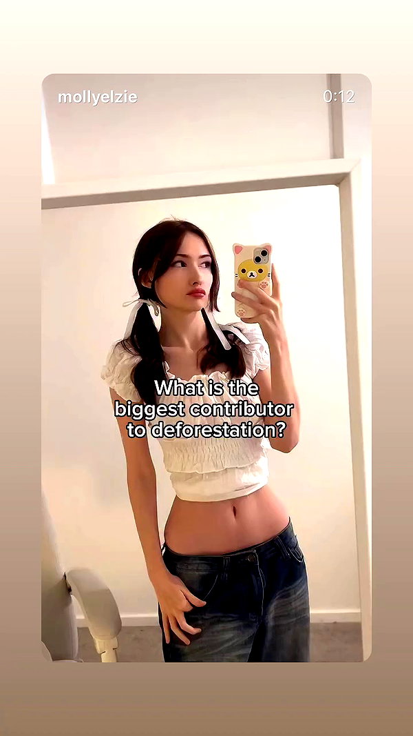 fatalevie archive video preview