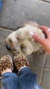 babynympho_archive Altpins Profile Picture