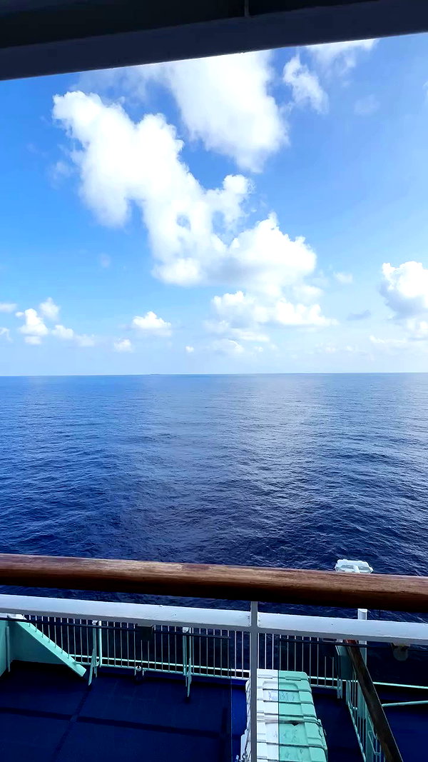 noammalka___ archive video preview