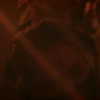 mileycyrus Altpins Profile Picture