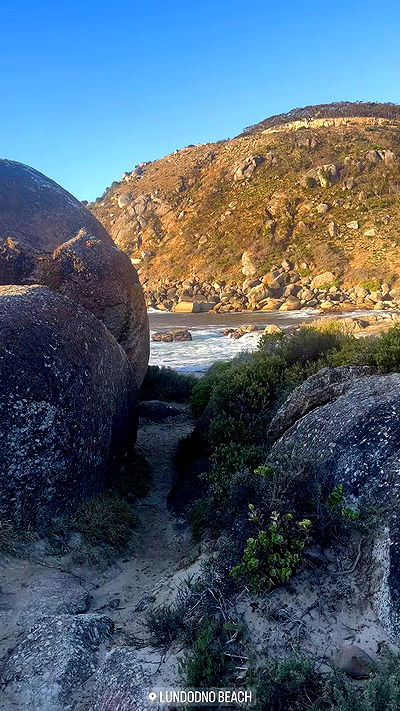 taylor.creeden taylor.creeden archive video