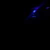 rikol_nohana Altpins Profile Picture