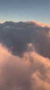 hellokittyangel666 Altpins Profile Picture