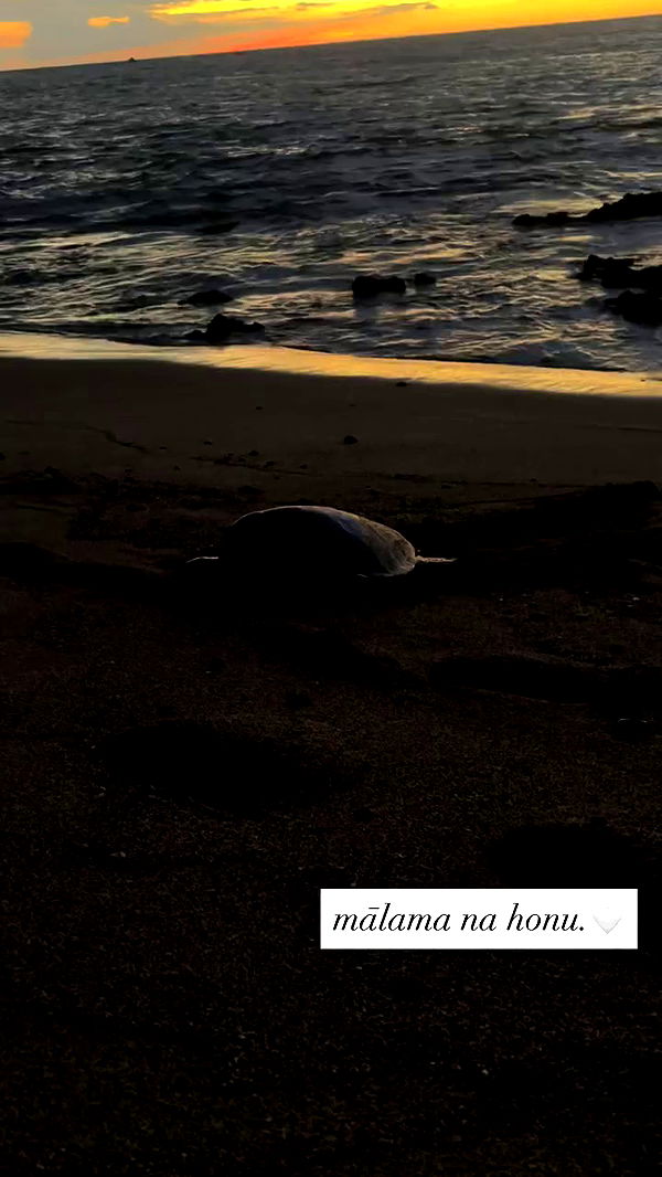 tatum.ricee archive video preview