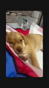 lera.genadenik Altpins Profile Picture