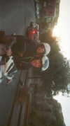 alessiadidntwakeup Altpins Profile Picture