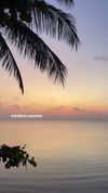 darkstar_mia Altpins Profile Picture