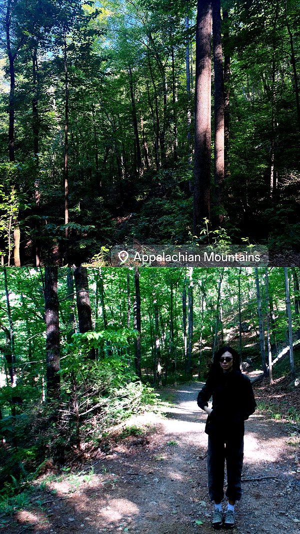 lilrotini archive video preview