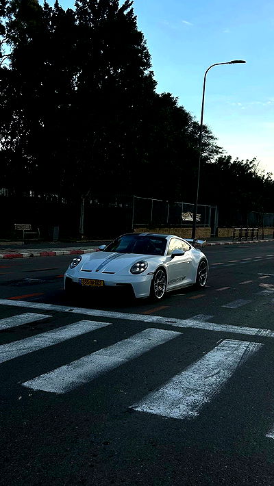 simp_for_cats_ simp_for_cats_ archive video