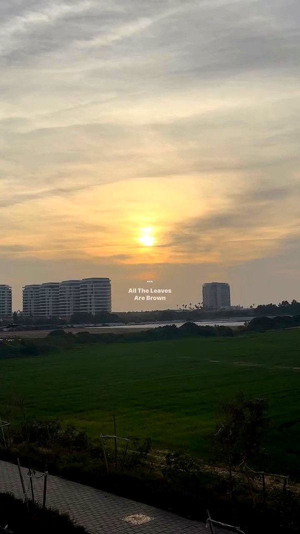 _allvi.pansk archive video preview