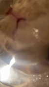 schnuckell Altpins Profile Picture