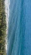 elizabethcampbelljones Altpins Profile Picture