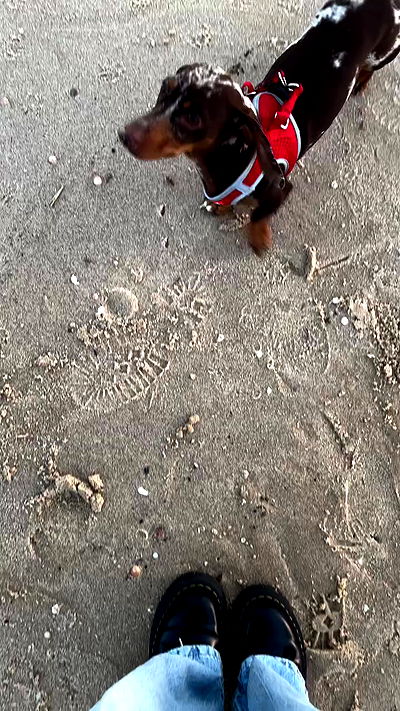 noa_zemlyanski noa_zemlyanski archive video