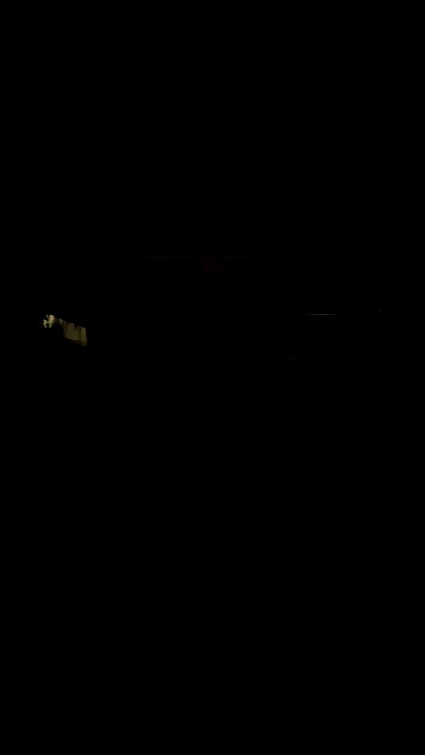 _.shelichka._ archive video preview