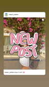 maori_cohen Altpins Profile Picture