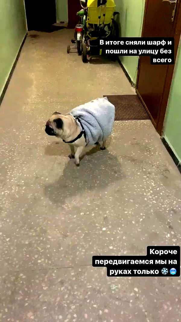 nyityam archive video preview