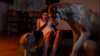 suspiria.em Altpins Profile Picture