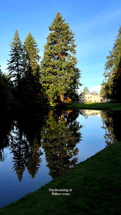 taylor.creeden taylor.creeden archive video