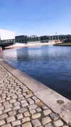 sonia_litvanchuk Altpins Profile Picture