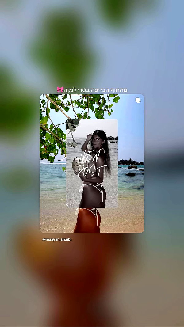 maayan.shaibi archive video preview