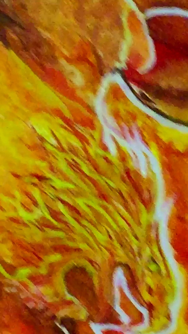 _mashachka_ archive video preview