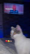 lera.genadenik Altpins Profile Picture