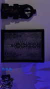iinfusiia Altpins Profile Picture