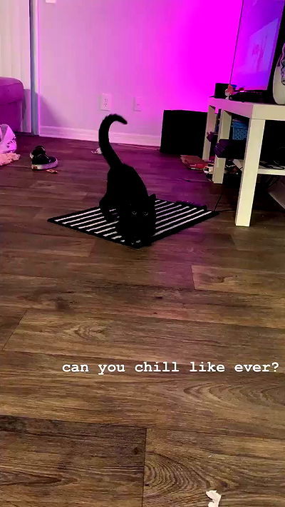 suikomuu suikomuu archive video