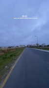 mishel_d_ Altpins Profile Picture